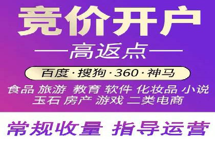 百度推广全攻略：成功案例剖析